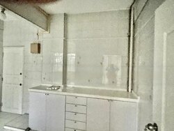 Botanic Gardens Mansion (D10), Apartment #464987091